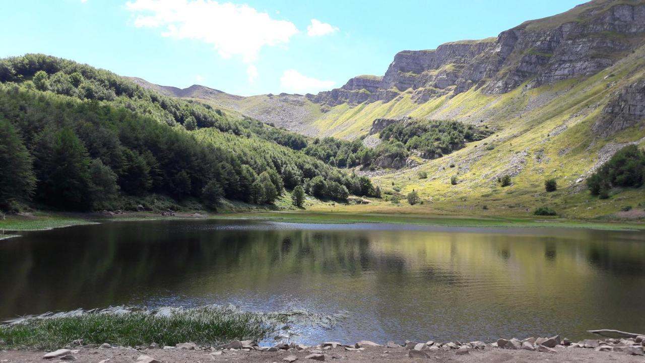 Вілла Uno Chalet Nel Bosco Lama Mocogno Екстер'єр фото