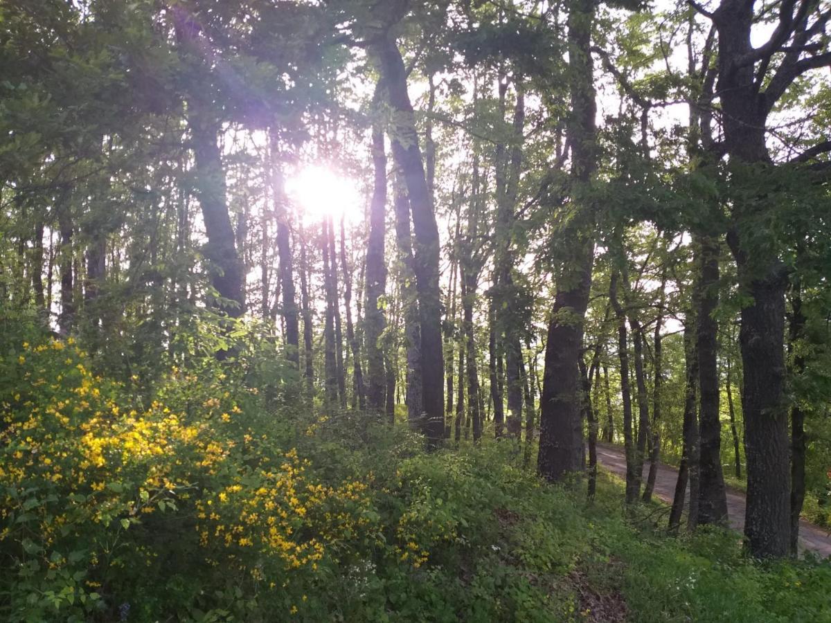 Вілла Uno Chalet Nel Bosco Lama Mocogno Екстер'єр фото